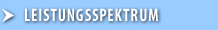 Leistungsspektrum